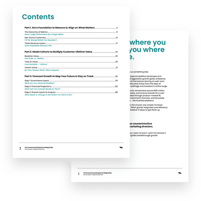The Enterprise Scaling Guide: Preview of what's inside