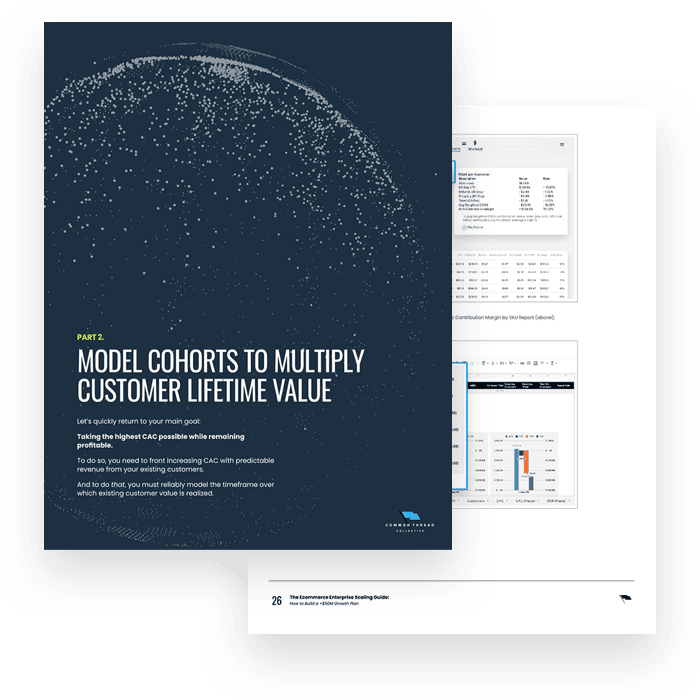 The Enterprise Scaling Guide: Preview of what's inside