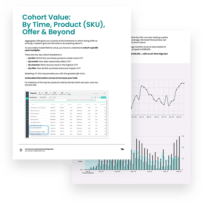 The Enterprise Scaling Guide: Preview of what's inside