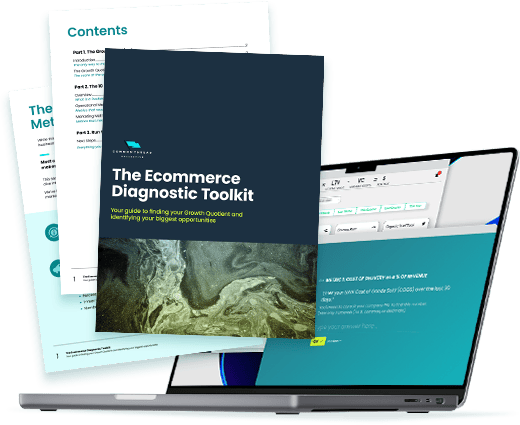 The Ecommerce Diagnostic Toolkit Explainer PDF, Online Quiz, and Analytics platform (Statlas) preview