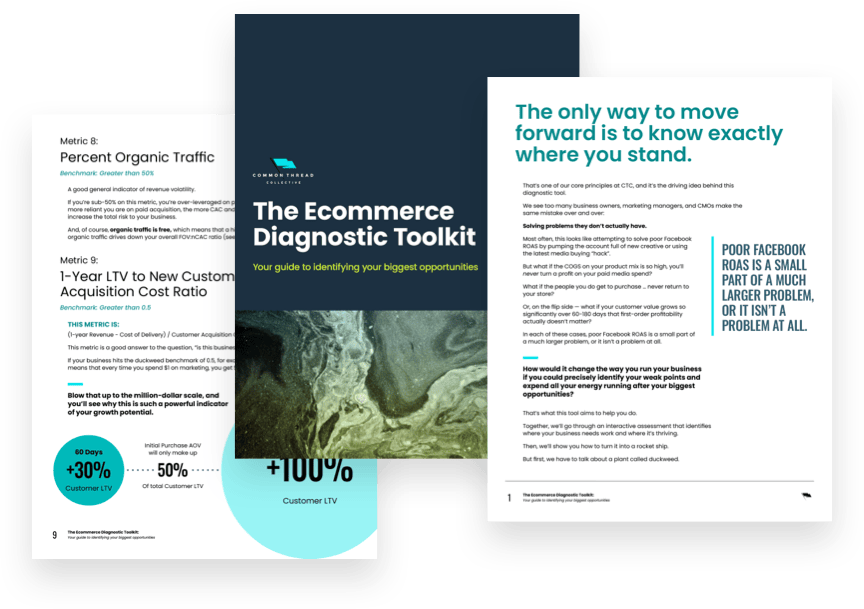 The Ecommerce Diagnostic Toolkit PDF