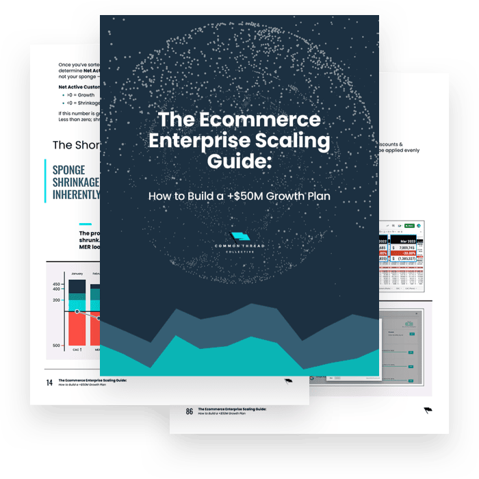 Enterprise Scale Guide.  A preview of what's inside