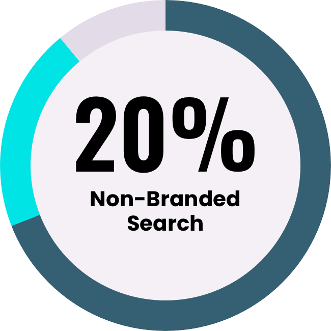 Non-Branded Search 20 percent of spend